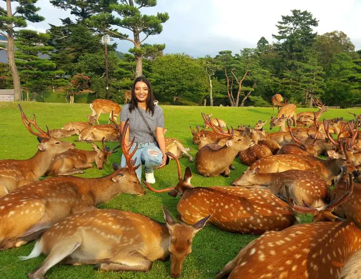 13872752_287285521663086_5286169822781555947_n