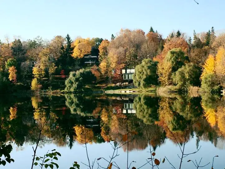 14568032_991341047659910_8146565923649355538_n