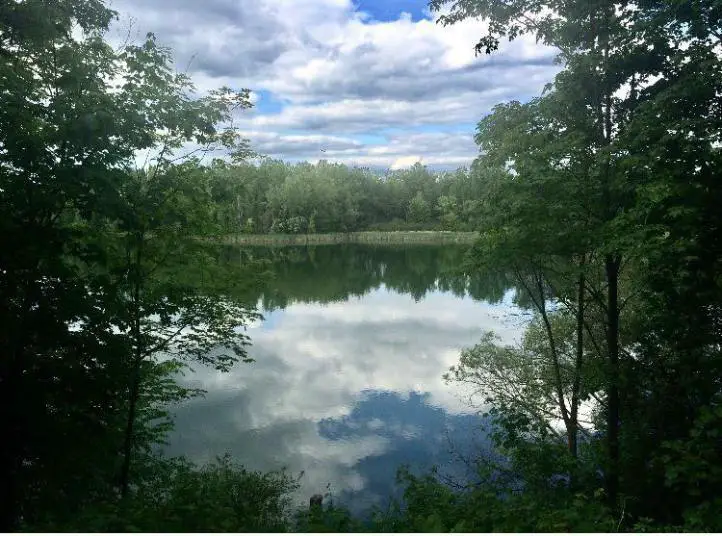 14690832_978007705659911_8301055415860314934_n