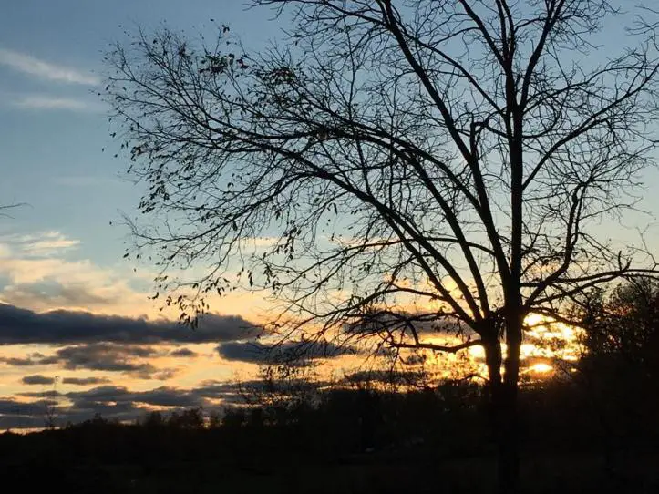 14729271_983727521754596_8456309217014215829_n