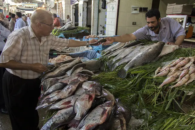 7695038558_04caf8f2e4_z