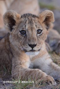 282850_10151281458134410_1091551334_n