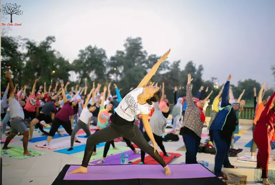 20767712_1655110667833366_7301093038407247644_n