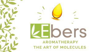 27973448_248132899071158_1264106912814302832_n