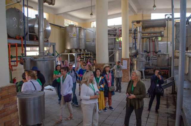 57402366_10161592167120501_2117782656363003904_n