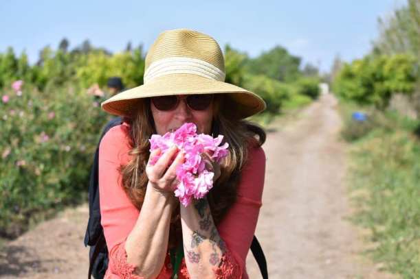 58420396_10161595899165501_8056839948390629376_n