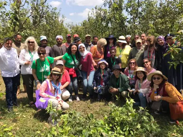 58441846_10161595899760501_7365018397446242304_n