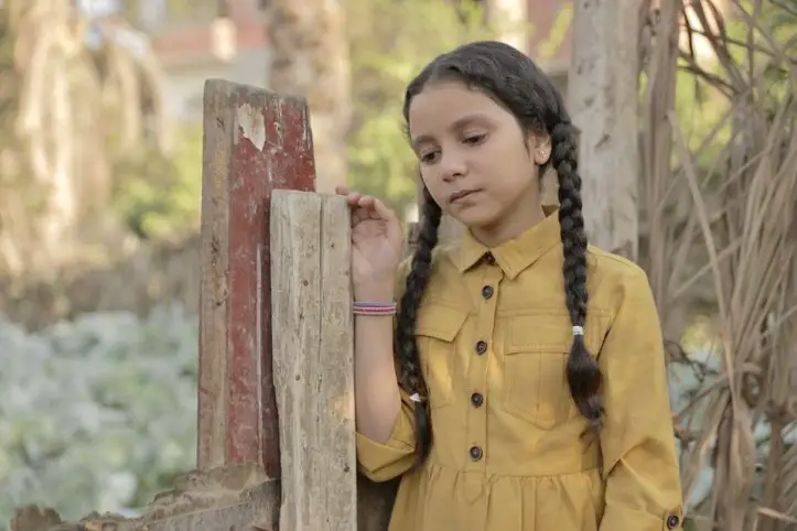 79796030_2787259597979383_7636069436989898752_o