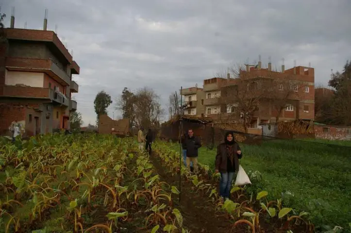 Basma-Sheta_image002-1024x681