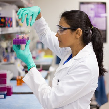 1x1-500x500-science-behind-essential-oils