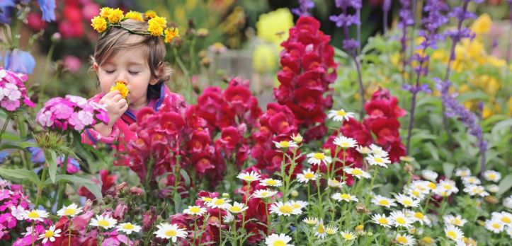 Egypt’s Spring Flowers Exhibition blooms at Agriculture Museum – Women ...