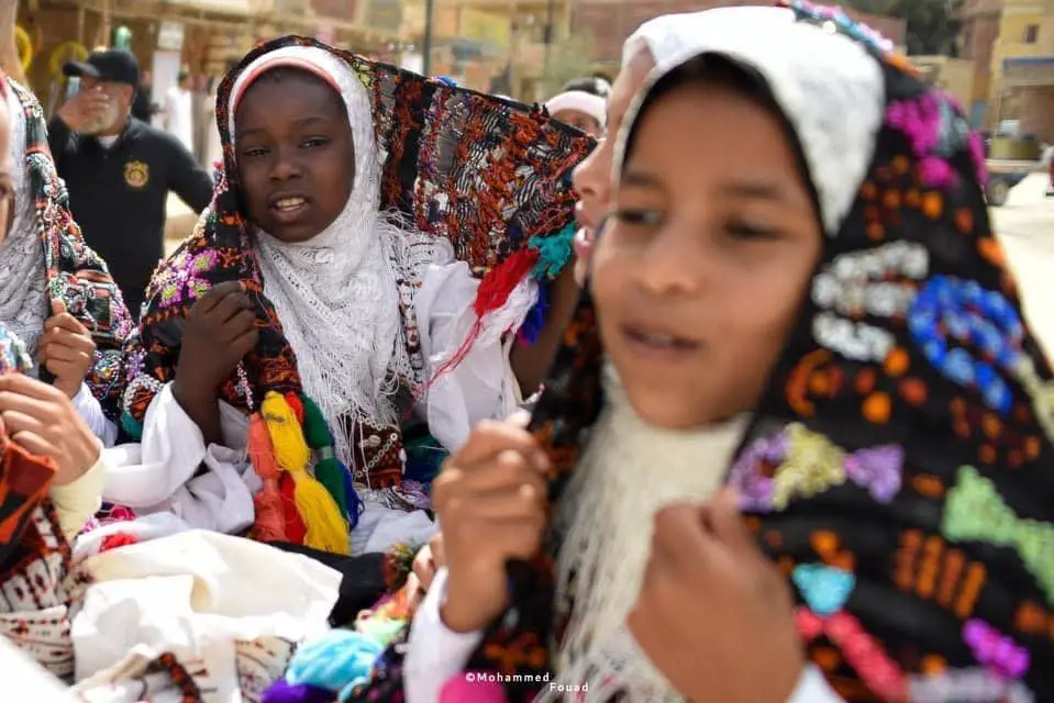 Immerse Yourself in Tradition: The Must-Attend Festivals of Siwa - The Date Festival